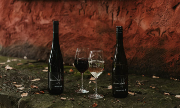 Unsere liebsten Herbstweine mit 15% Rabatt